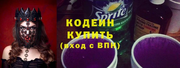 хмурый Горняк