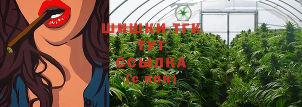 хмурый Горняк